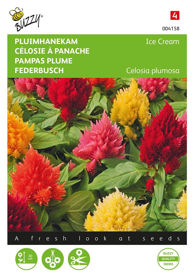 Buzzy® Pluimhanekam zaden - Ice Cream - gemengd afbeelding