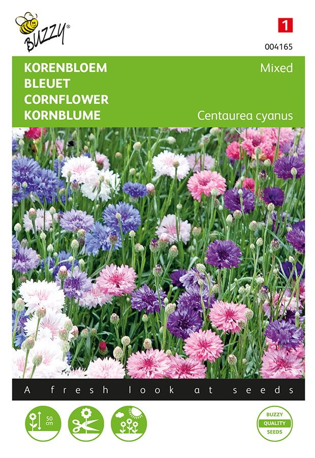 Buzzy® bloemzaden - Korenbloem afbeelding