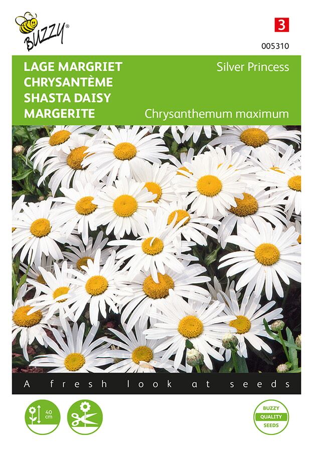 Buzzy® Lage Margriet zaden - Silver Princess afbeelding