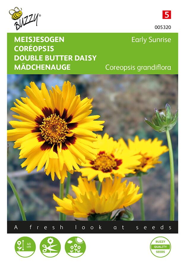 Buzzy® Meisjesogen zaden - Early sunrise afbeelding