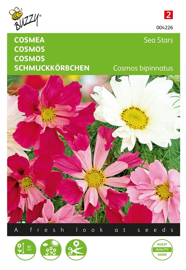Buzzy® Cosmea zaden - Sea Stars - gemengd afbeelding