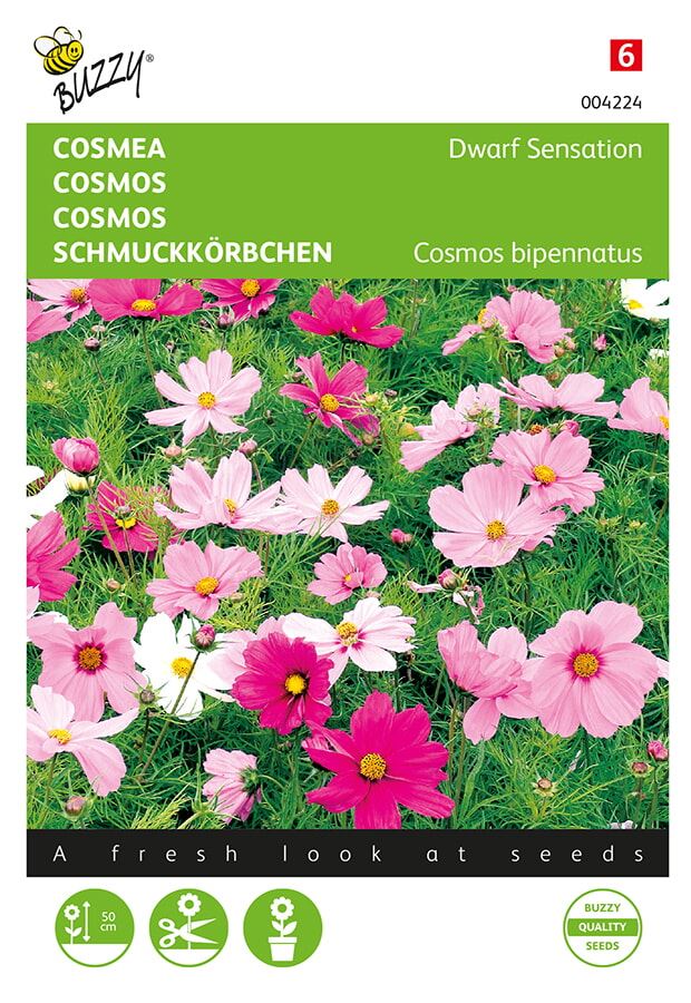 Buzzy® Cosmos zaden - Sonata - gemengd afbeelding