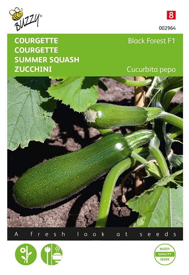 Buzzy® Courgette zaden - Klimmend Black Forest afbeelding