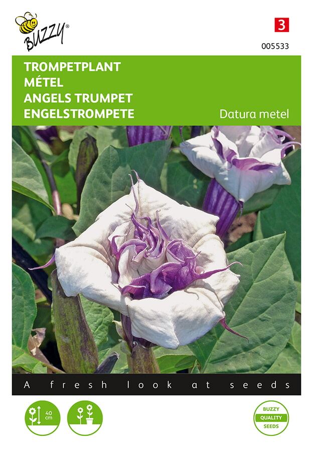 Buzzy® Trompetplant zaden afbeelding