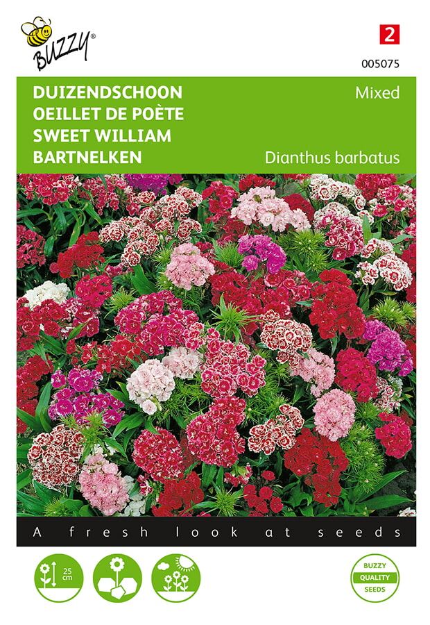 Buzzy® Duizendschoon zaden - Dubbelbloemig - gemengd afbeelding