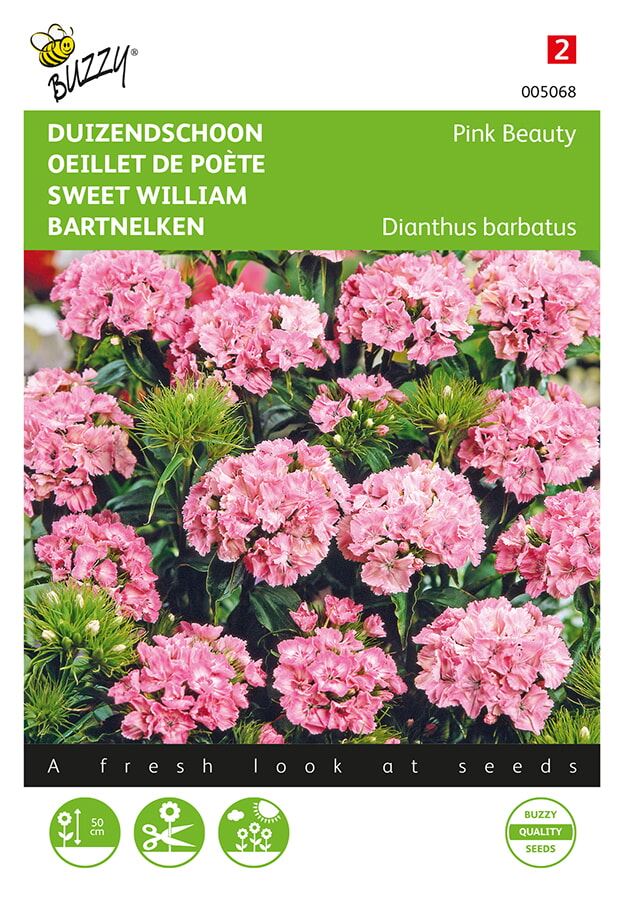 Buzzy® Duizendschoon zaden - Pink Beauty afbeelding