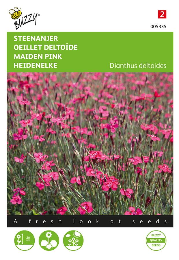 Buzzy® Steenanjer zaden - Brilliant afbeelding