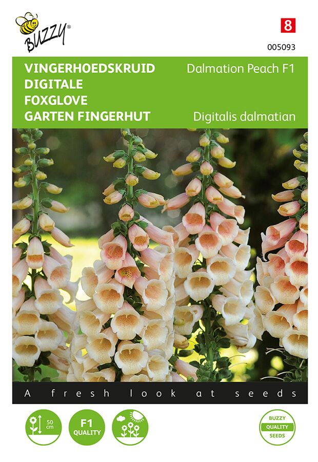 Buzzy® Vingerhoedskruid zaden - Digitalis Dalmation F1 Peach afbeelding