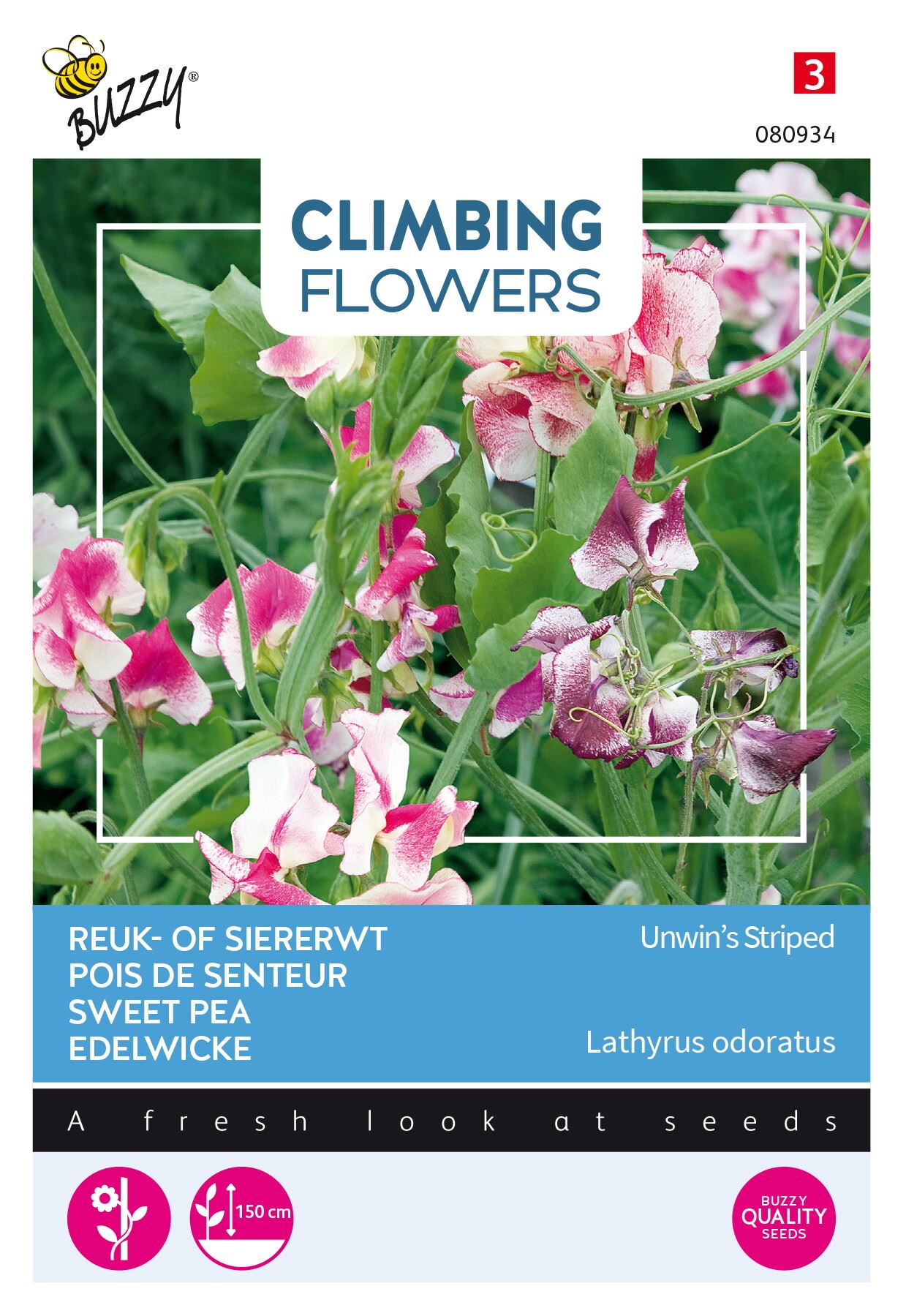 Buzzy® Klimplant - Reuk- of siererwt zaden - Lathyrus Unwin's Striped - afbeelding
