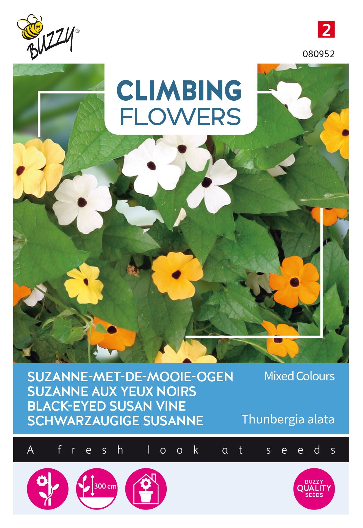 Buzzy® Klimplant - Suzanne-Met-De-Mooie-Ogen zaden - Thunbergia alata - gemengd afbeelding