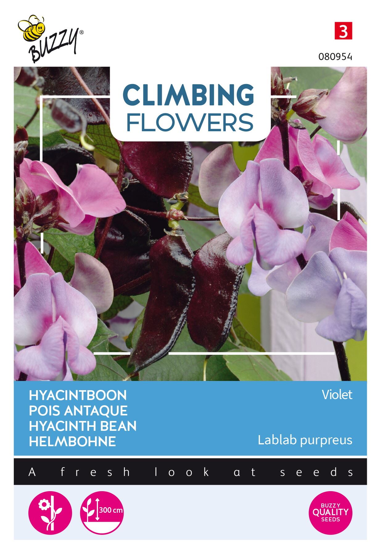 Buzzy® Klimplant - Hyacinthboon zaden - Dolichos lablab Violet - 3g afbeelding