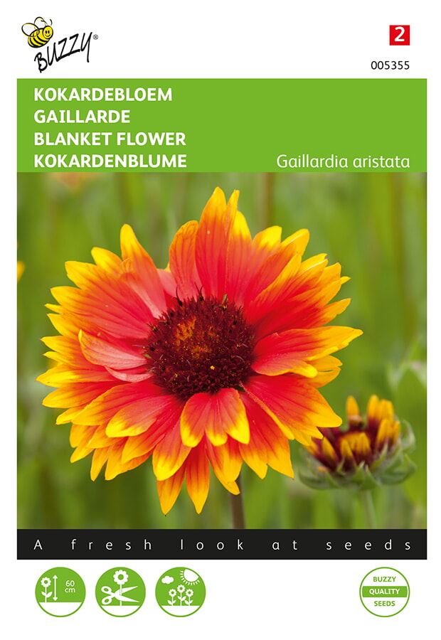 Buzzy® Kokardebloem zaden afbeelding