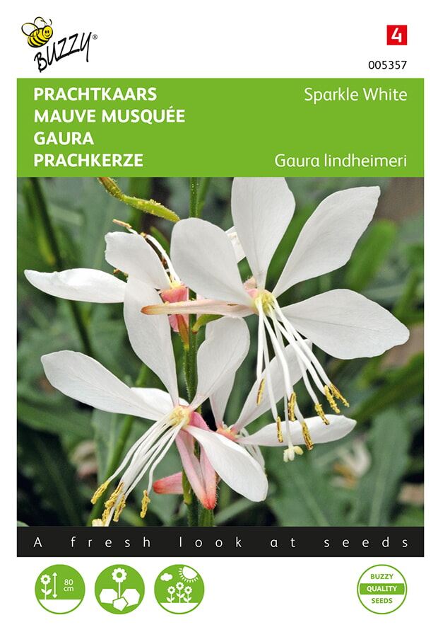 Buzzy® Prachtkaars zaden - Gaura lindheimerii - Sparkle White afbeelding