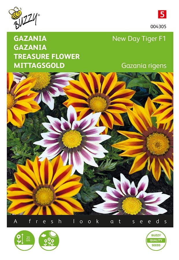 Buzzy® Gazania zaden - Splendens Tiger F1 Mixture afbeelding