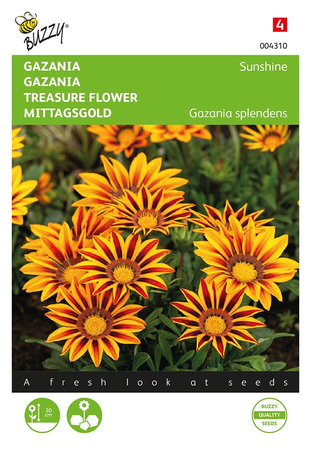 Buzzy® Gazania zaden - Sunshine - gemengd afbeelding