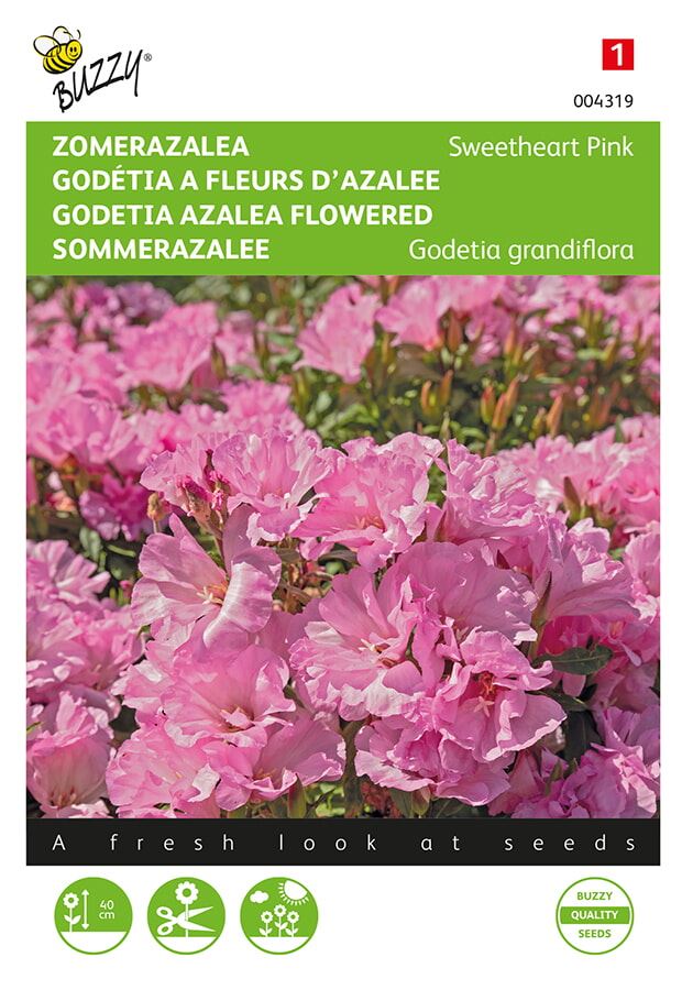 Buzzy® Zomer Azalea zaden - Salmon Princess afbeelding
