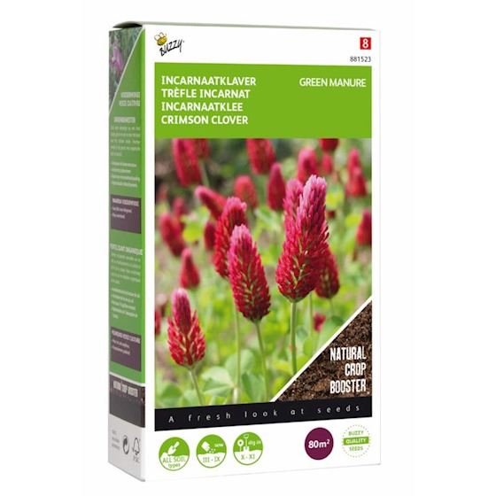 Buzzy® Groenbemester - Incarnaatklaver - 200g afbeelding
