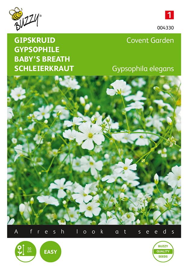 Buzzy® Gipskruid zaden - Covent Garden - wit afbeelding