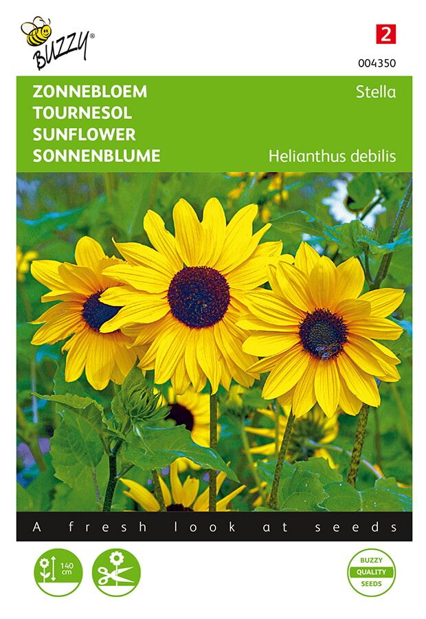 Buzzy® Zonnebloem zaden - Stella kleinbloemige - geel afbeelding