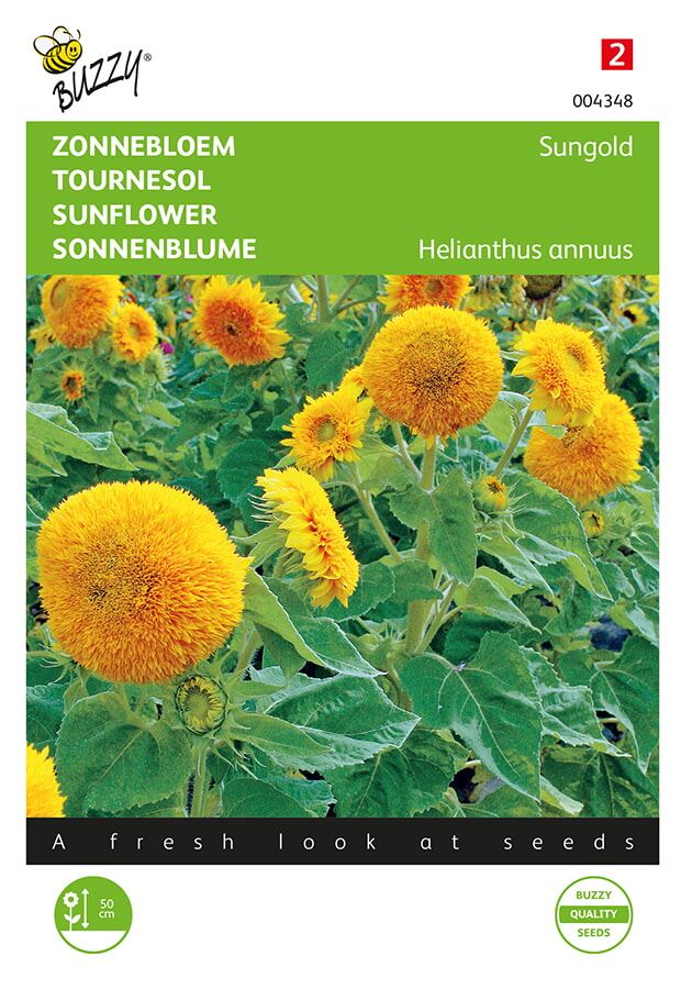 Buzzy® Lage Zonnebloem zaden - Sungold afbeelding