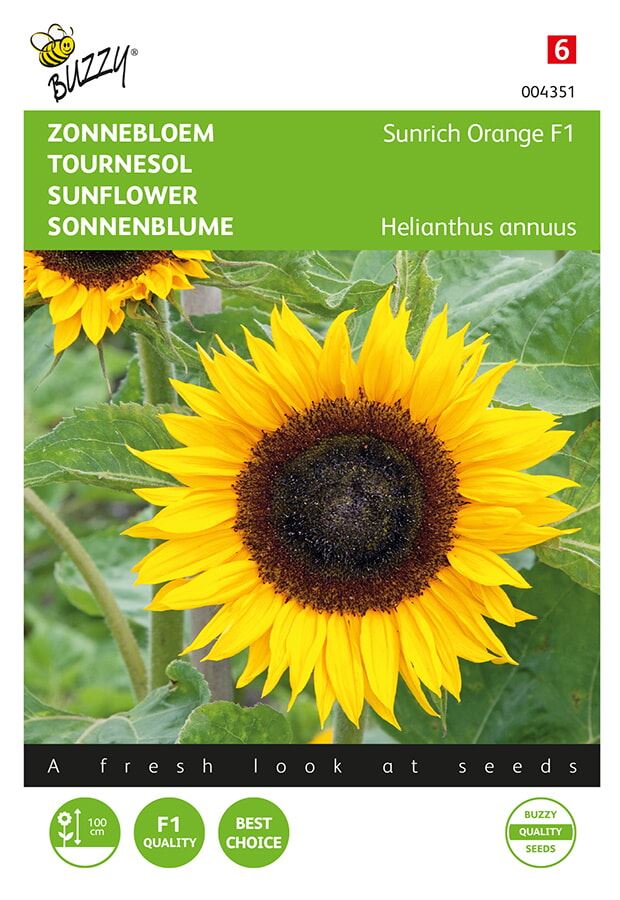 Buzzy® Zonnebloem zaden - Sunrich Orange afbeelding