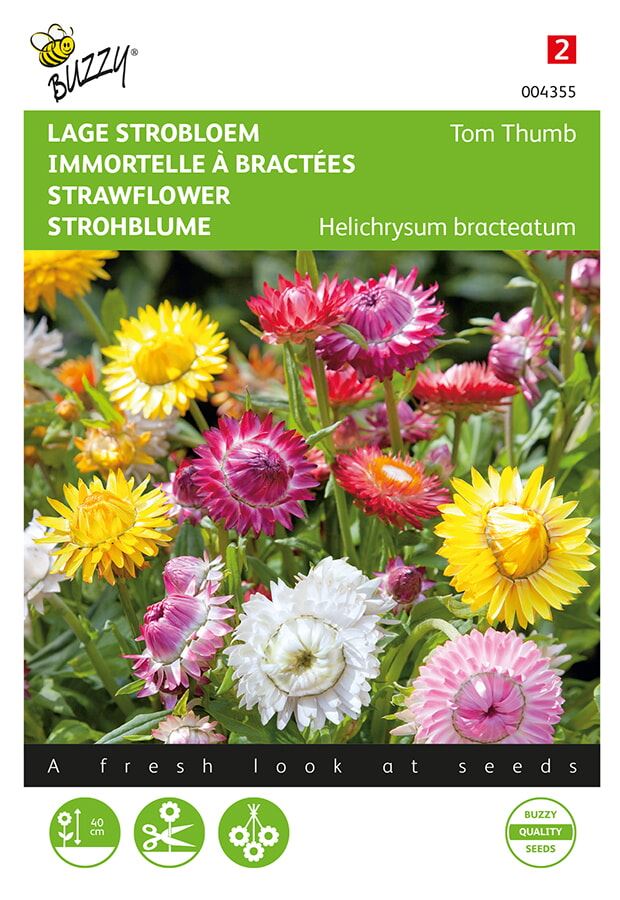 Buzzy® Lage Strobloem zaden - Tom Thumb - gemengd afbeelding