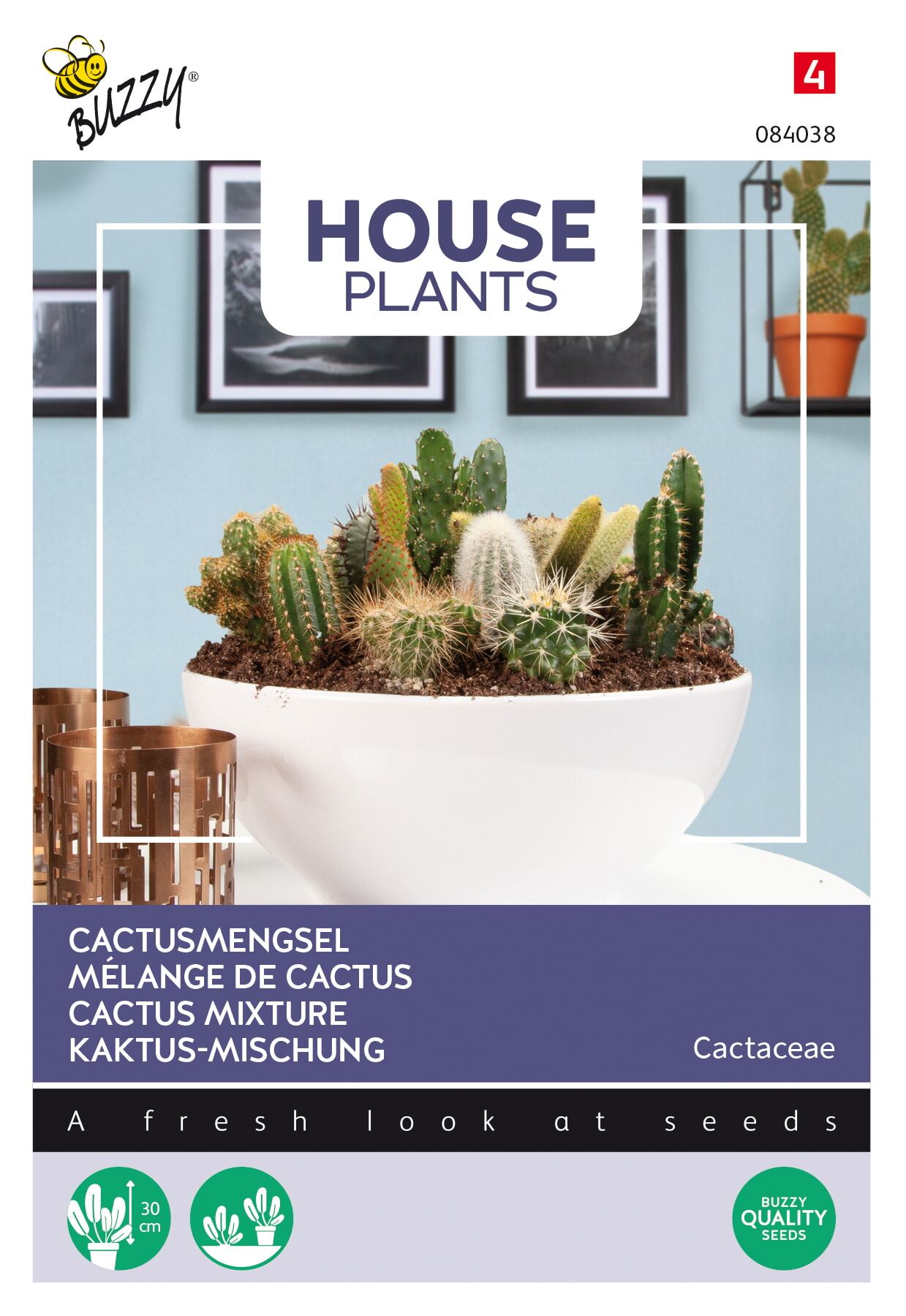 Buzzy® Kamerplant - Cactusmengsel zaden afbeelding