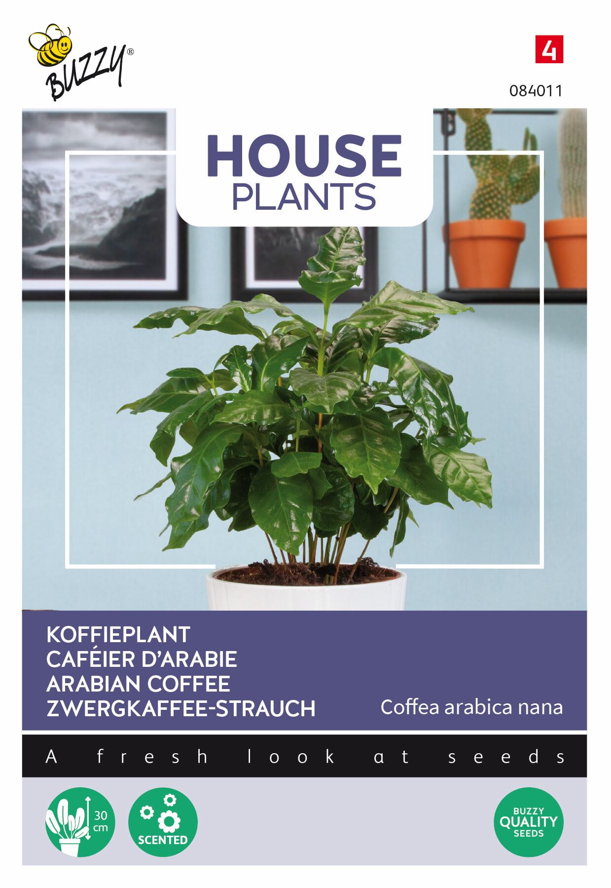 Buzzy® Kamerplant - Koffieplant zaden - Coffea Arabica afbeelding