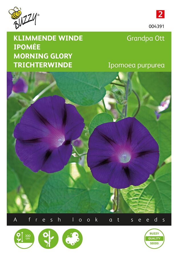 Buzzy® Klimmende Winde zaden - Ipomoea - Grandpa Ott afbeelding