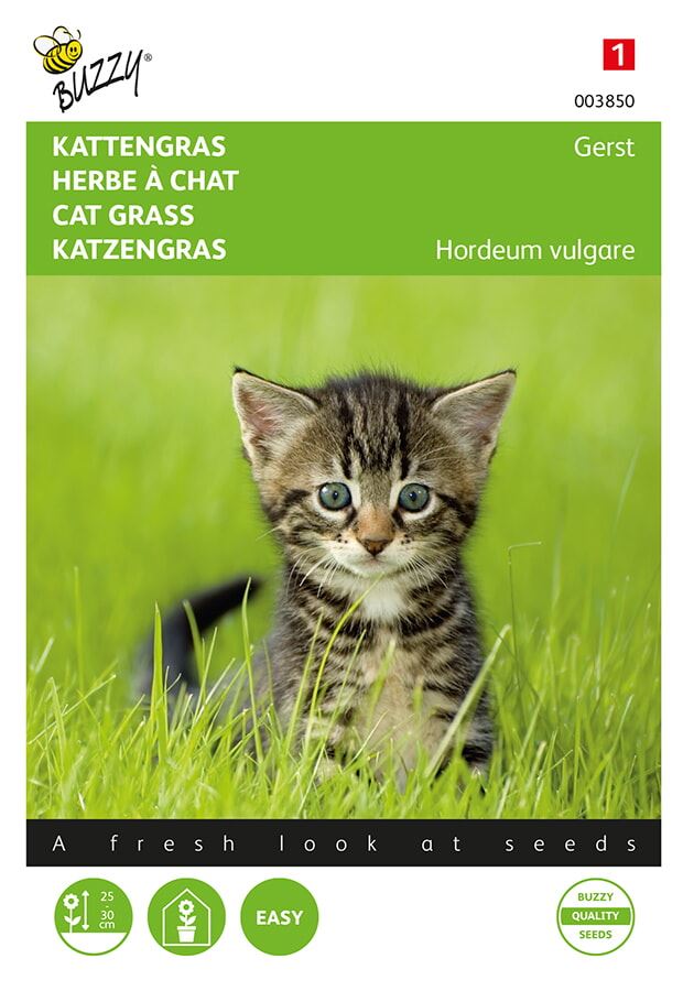 Buzzy® Kattengras zaden - Gerst afbeelding