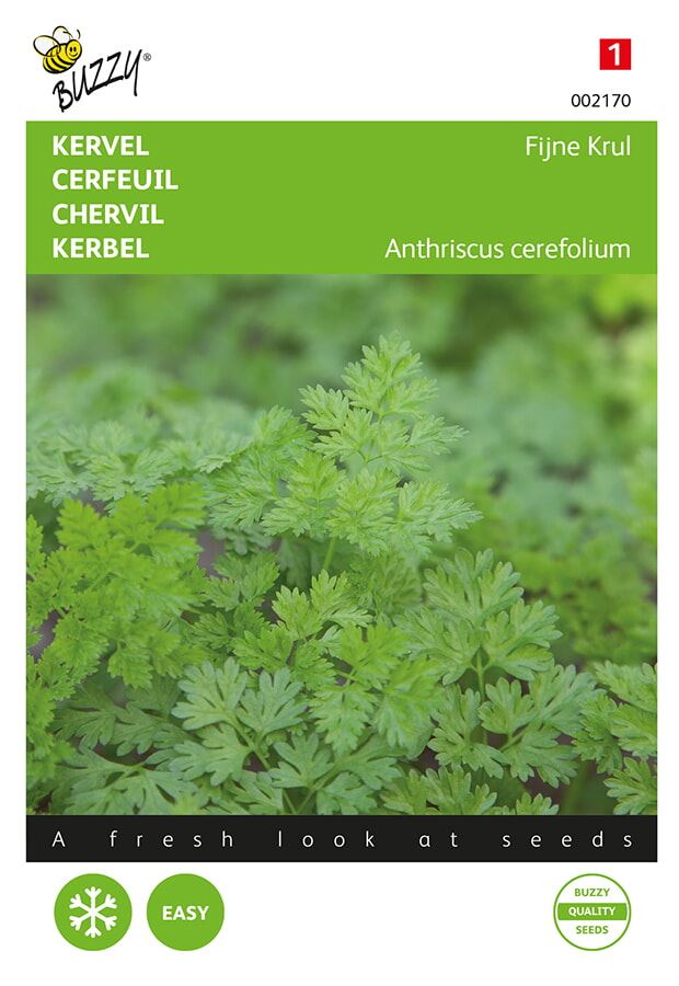 Buzzy® Kervel zaden - Fijne Krul afbeelding