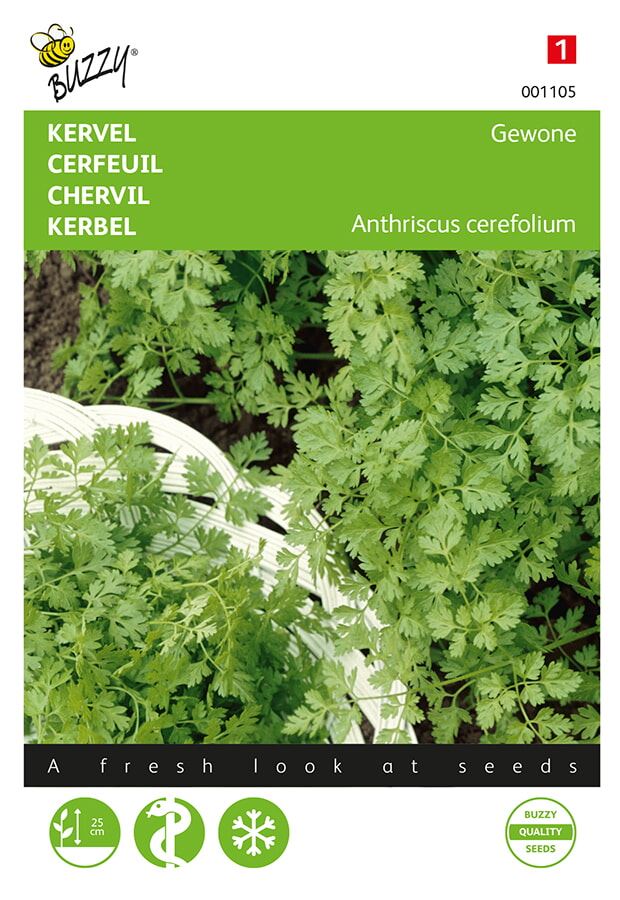 Buzzy® Gewone kervel zaden afbeelding