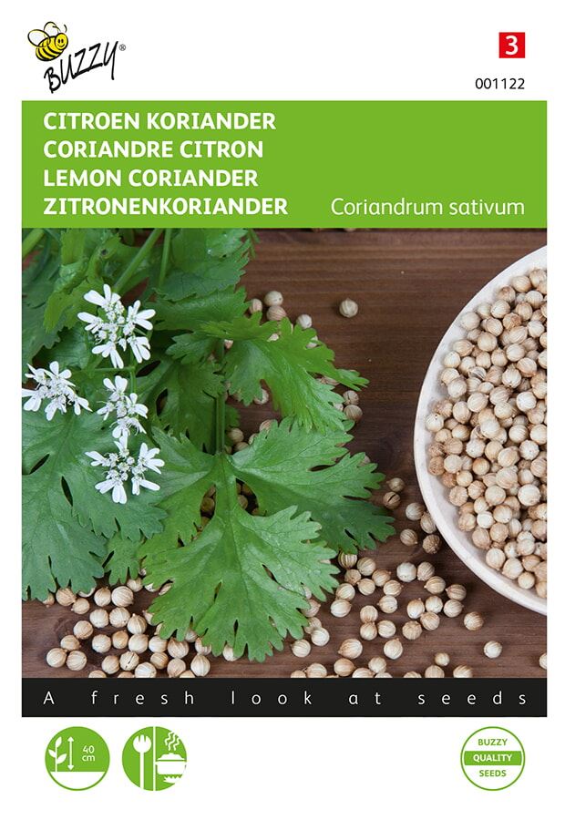 Buzzy® Koriander zaden - Citroen laag afbeelding