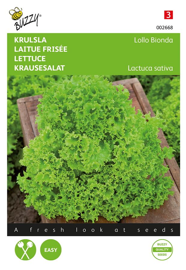 Buzzy® Groene krulsla zaden - Lollo Bionda afbeelding