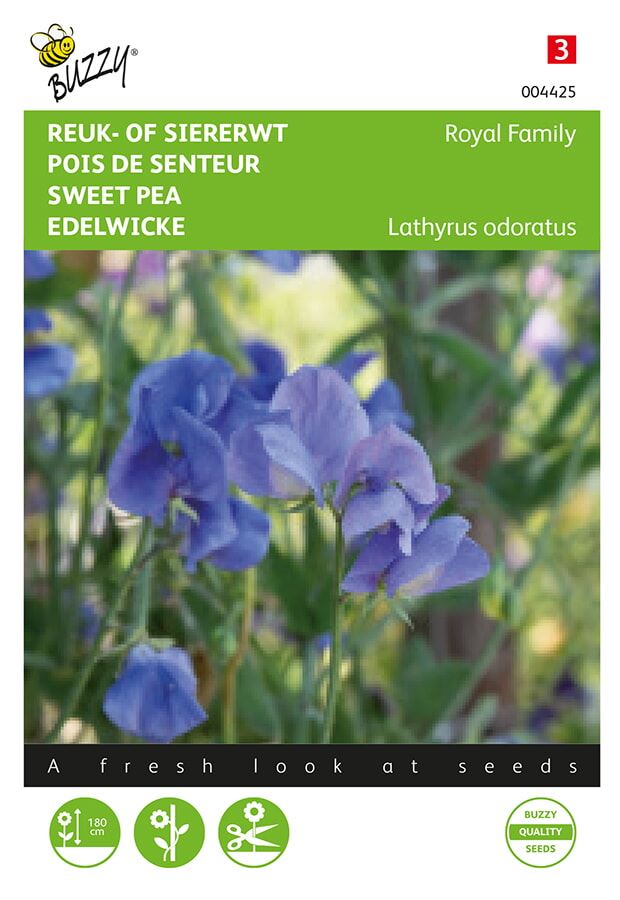 Buzzy® Reuk- of Siererwt zaden - Royal Family - blauw afbeelding