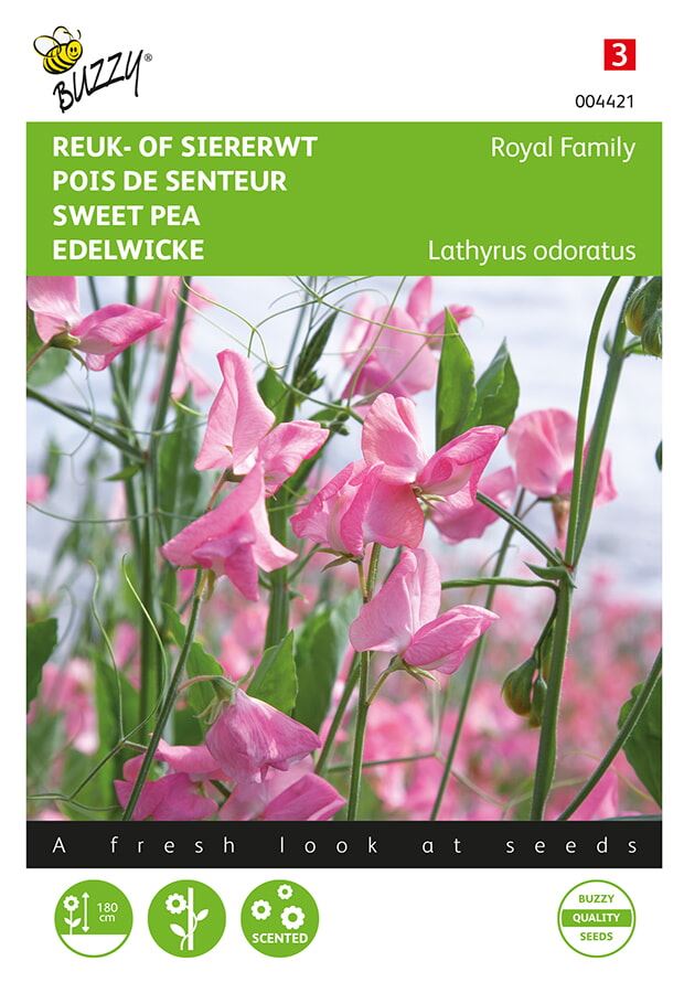 Buzzy® Reuk- of Siererwt zaden - Royal Family - roze afbeelding