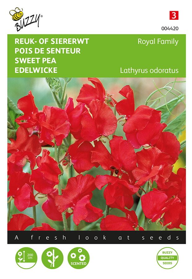 Buzzy® Reuk- of Siererwt zaden - Royal Family Scarlet afbeelding