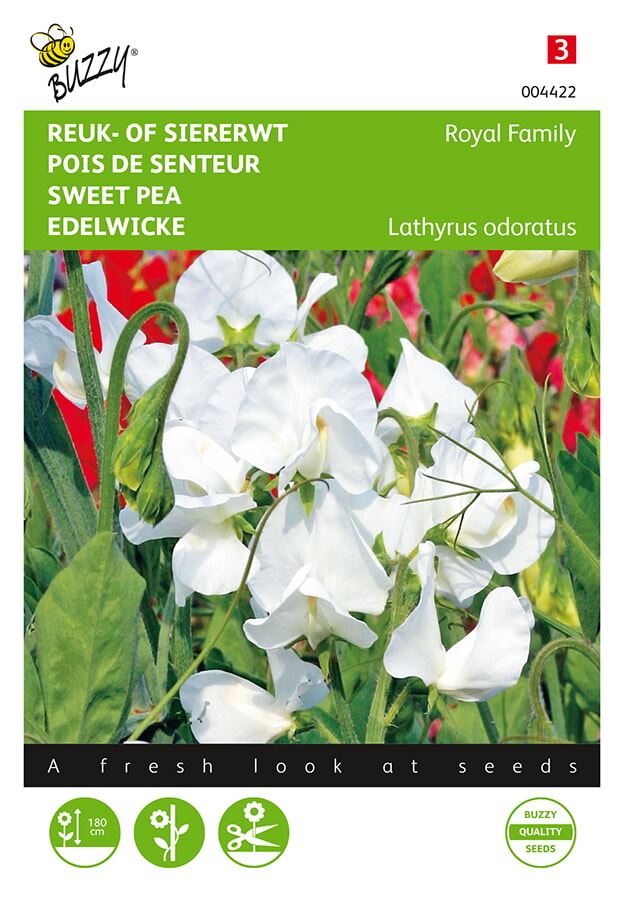 Buzzy® Reuk- of Siererwt zaden - Royal Family - wit afbeelding