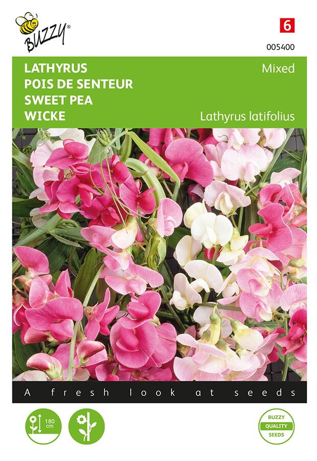 Buzzy® Meerjarige Lathyrus zaden - gemengd afbeelding