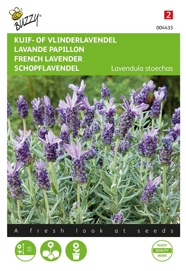Buzzy® Kuif- of Vlinderlavendel zaden afbeelding