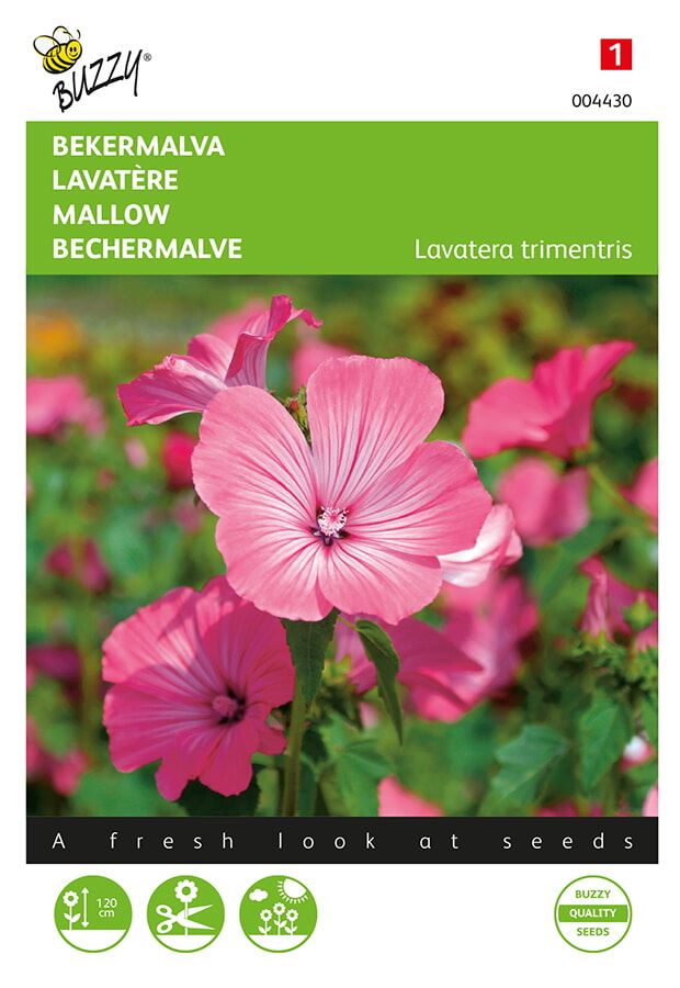 Buzzy® Bekermalva zaden - Roze/Rood afbeelding