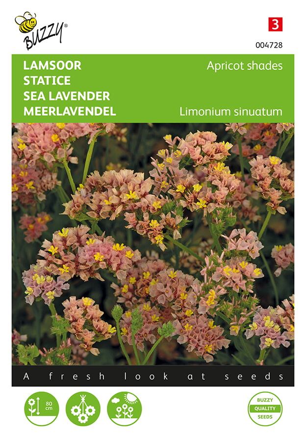 Buzzy - bloemzaden - Limonium, Lamsoor Apricot shades afbeelding