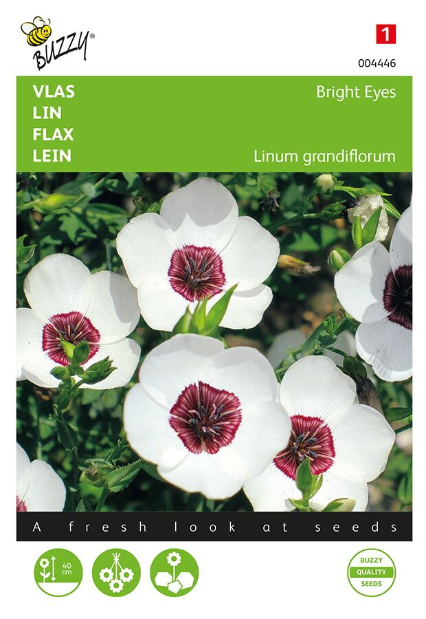 Buzzy Linum Bright Eyes afbeelding
