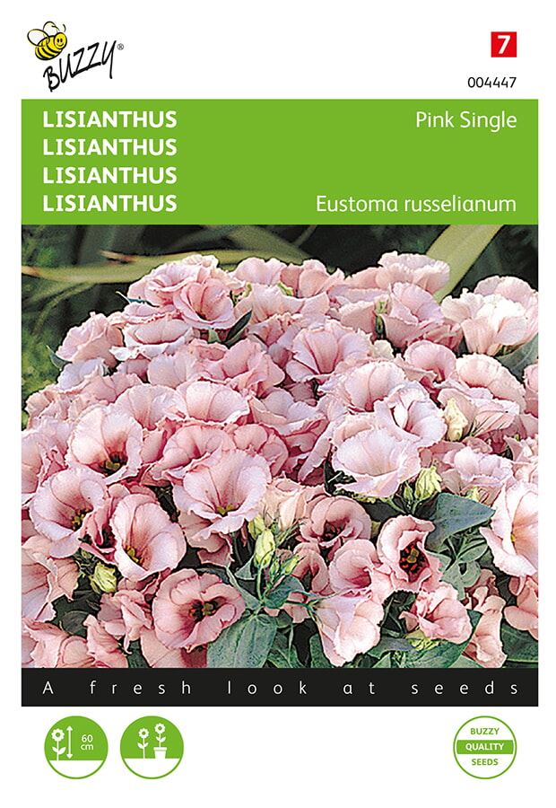 Buzzy® Lisianthus zaden - mini roze