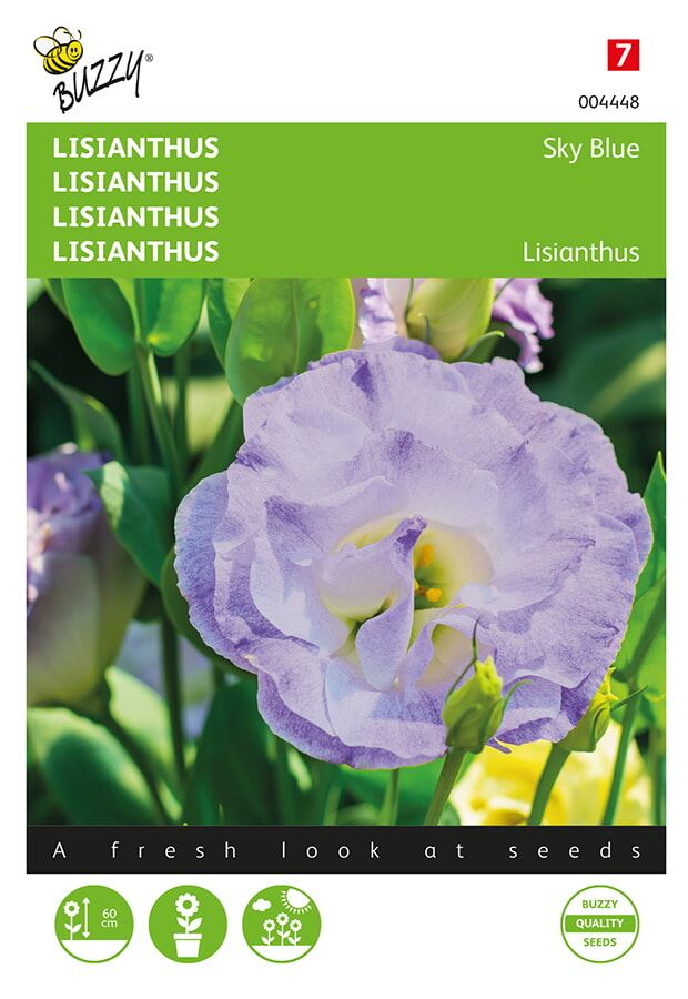 Buzzy Lisianthus Sky Blue afbeelding