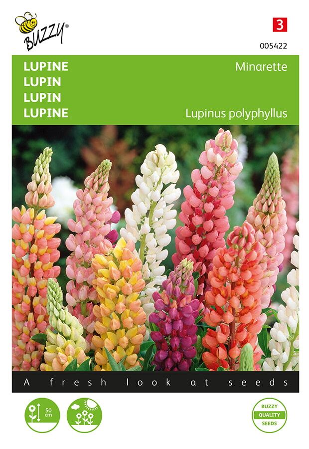 Buzzy® Lupine lage zaden - Minarette afbeelding
