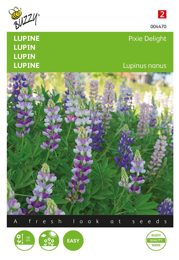 Buzzy® Lupine zaden - Pixie Delight - gemengd afbeelding