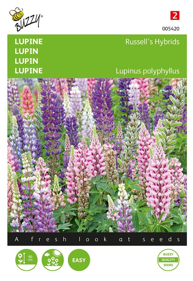 Buzzy® Lupine zaden - Russel’s Hybriden - gemengd afbeelding