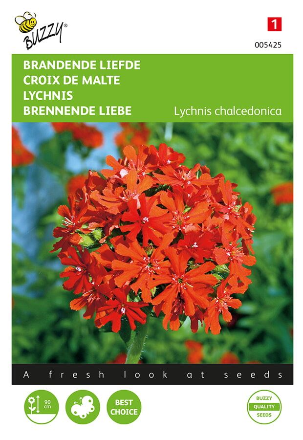 Buzzy® Brandende Liefde zaden afbeelding