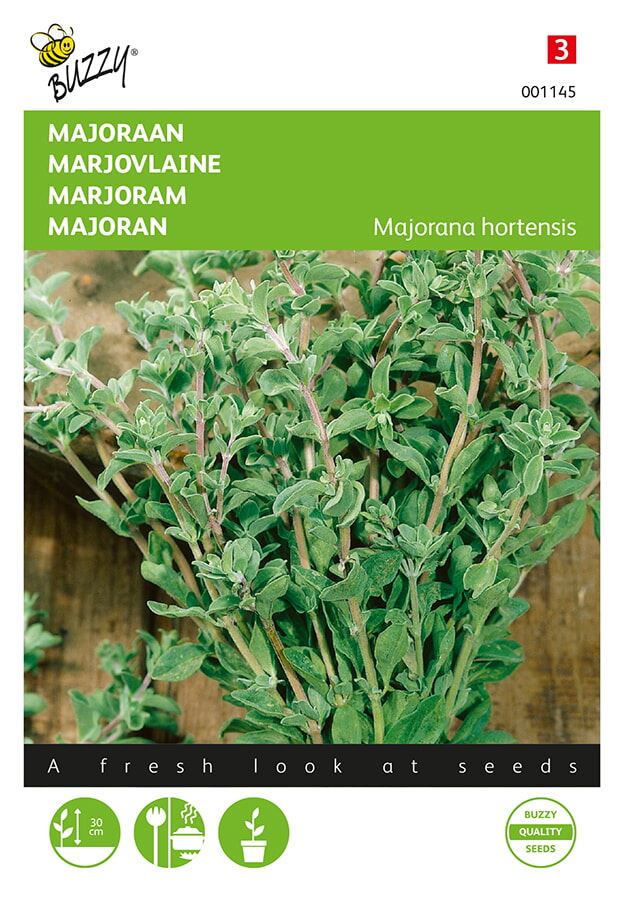 Buzzy® Majoraan zaden - Marjolaine afbeelding